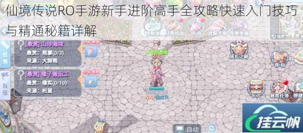 仙境传说RO手游新手进阶高手全攻略快速入门技巧与精通秘籍详解
