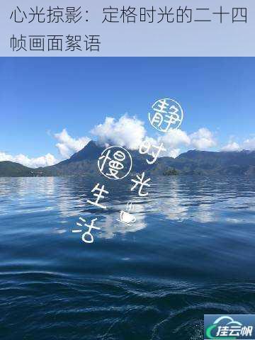 心光掠影:定格时光的二十四帧画面絮语