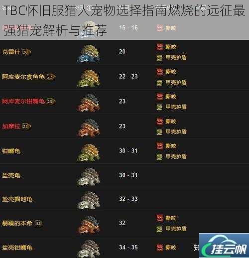 TBC怀旧服猎人宠物选择指南燃烧的远征最强猎宠解析与推荐