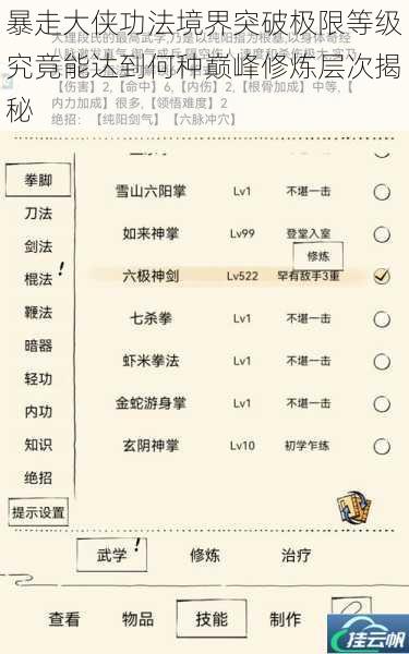 暴走大侠功法境界突破极限等级究竟能达到何种巅峰修炼层次揭秘