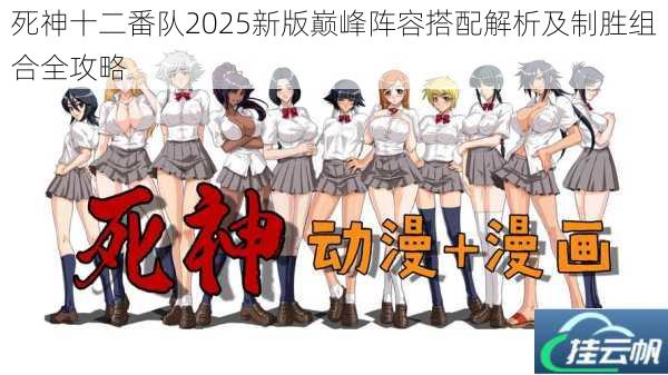 死神十二番队2025新版巅峰阵容搭配解析及制胜组合全攻略