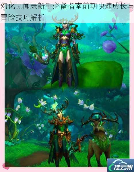 幻化见闻录新手必备指南前期快速成长与冒险技巧解析