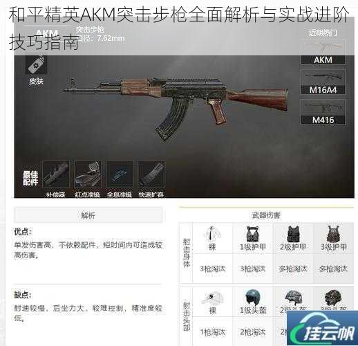 和平精英AKM突击步枪全面解析与实战进阶技巧指南
