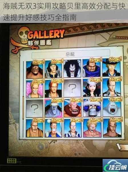 海贼无双3实用攻略贝里高效分配与快速提升好感技巧全指南
