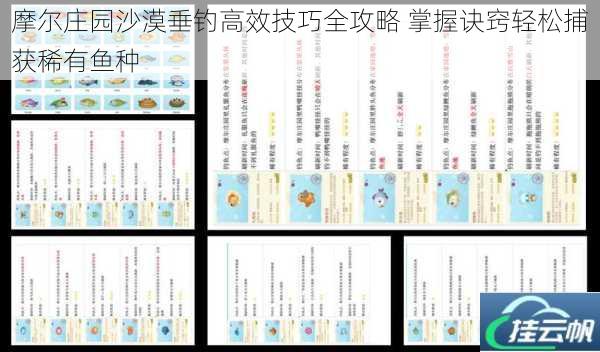 摩尔庄园沙漠垂钓高效技巧全攻略 掌握诀窍轻松捕获稀有鱼种