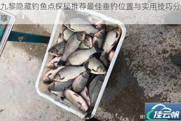 九黎隐藏钓鱼点探秘推荐最佳垂钓位置与实用技巧分享
