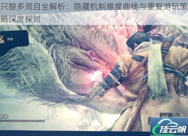只狼多周目全解析:隐藏机制难度曲线与重复游玩策略深度探讨