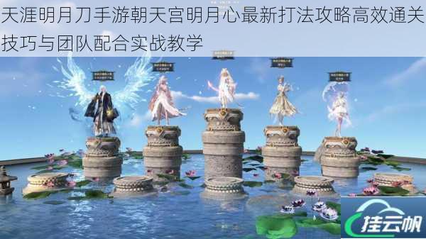 天涯明月刀手游朝天宫明月心最新打法攻略高效通关技巧与团队配合实战教学