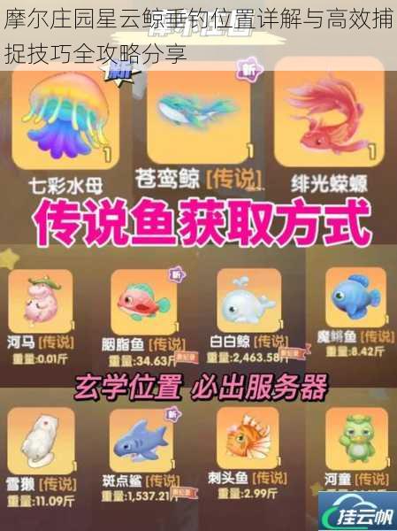 摩尔庄园星云鲸垂钓位置详解与高效捕捉技巧全攻略分享