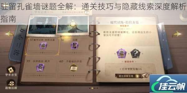 驻留孔雀墙谜题全解:通关技巧与隐藏线索深度解析指南