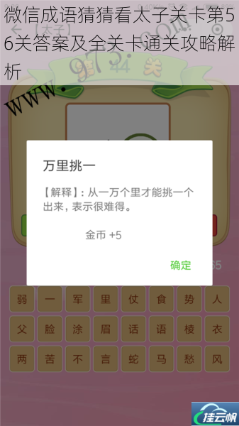 微信成语猜猜看太子关卡第56关答案及全关卡通关攻略解析