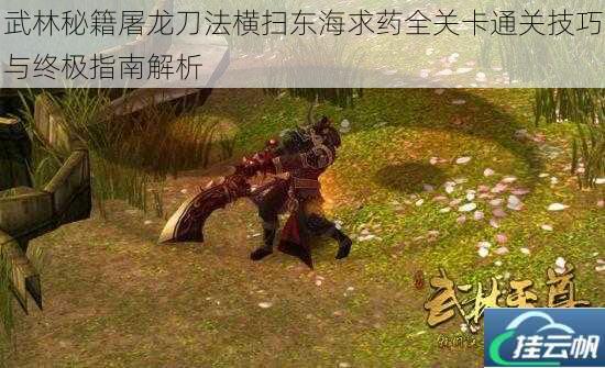 武林秘籍屠龙刀法横扫东海求药全关卡通关技巧与终极指南解析
