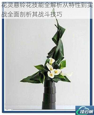 花灵悬铃花技能全解析从特性到实战全面剖析其战斗技巧