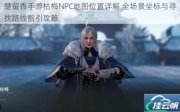 楚留香手游枯梅NPC地图位置详解 全场景坐标与寻找路线指引攻略