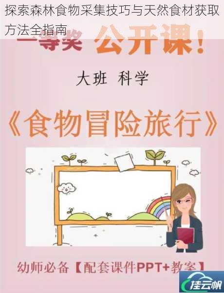探索森林食物采集技巧与天然食材获取方法全指南