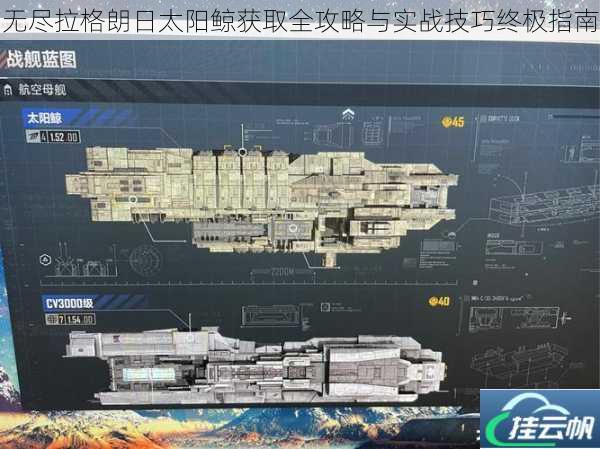 无尽拉格朗日太阳鲸获取全攻略与实战技巧终极指南