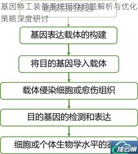 基因特工装备系统现存问题解析与优化策略深度研讨