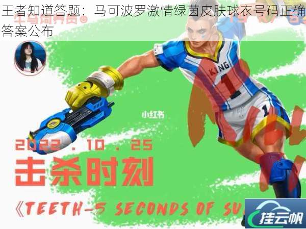王者知道答题:马可波罗激情绿茵皮肤球衣号码正确答案公布