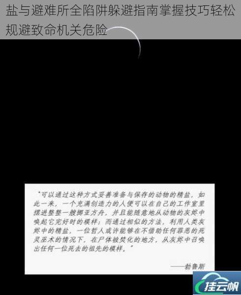 盐与避难所全陷阱躲避指南掌握技巧轻松规避致命机关危险