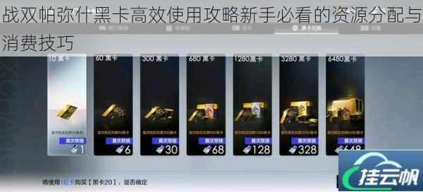 战双帕弥什黑卡高效使用攻略新手必看的资源分配与消费技巧