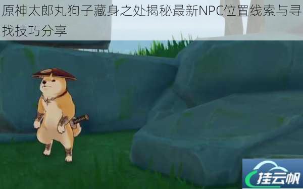 原神太郎丸狗子藏身之处揭秘最新NPC位置线索与寻找技巧分享
