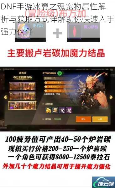 DNF手游冰翼之魂宠物属性解析与获取方式详解助你快速入手强力伙伴